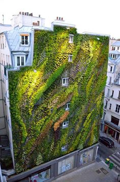 an image of a building covered in green plants