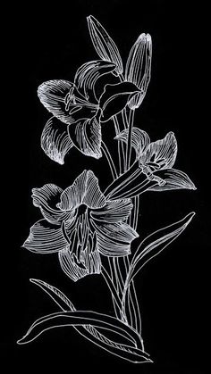 some flowers are drawn on a black background