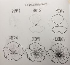 step by step instructions on how to draw flowers