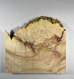 a piece of wood that has been cut into pieces