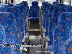 the inside of an airplane with blue seats and red flowers on it's seat covers