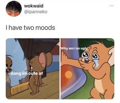 an image of two cartoon characters with caption that reads, i have two modds why am i so ugly? dang in cute af