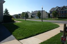 a street with houses in the background and green grass on the sidewalk next to it