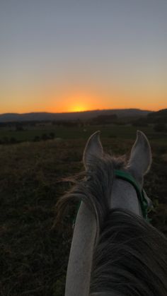 the back end of a horse's head as the sun sets in the distance