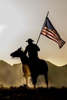 a man riding on the back of a horse holding a flag