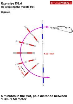 the diagram shows how to use an exercise d3 for balance and movement in motion