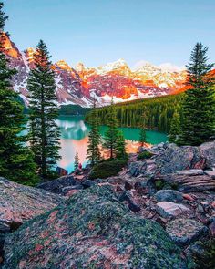 the mountains are covered in snow and pine trees