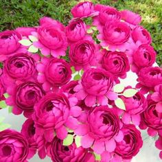 a bunch of pink flowers sitting on the ground