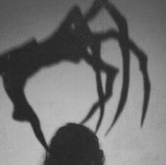 the shadow of a woman with long hair holding a knife in her hand and looking up