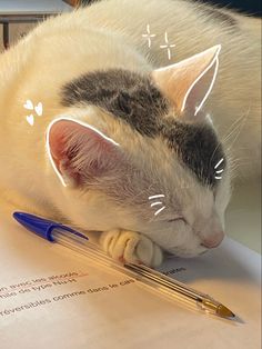 Cat chat 
Study studies 
Études Instagram Creative Ideas, Fotografi Vintage, Doodle On Photo, Insta Post, Cat Pictures, Instagram Photo Ideas Posts, Creative Instagram Photo Ideas, Selfie Ideas Instagram, Foto Ideas Instagram