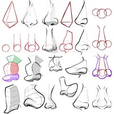 a bunch of different shapes and sizes of feet