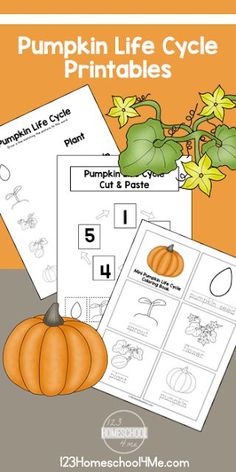 pumpkin life cycle printables for kids