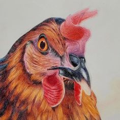 a drawing of a chicken with an orange beak and red comb on it's head