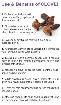 Cloves Spiritual Benefits, Healing Basket, River Witch, Clove Oil Benefits, Benefits Of Cloves, Cloves Benefits, Clove Essential Oil, Clove Oil, Essential Oils Herbs