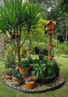 a garden with lots of potted plants and bird houses on the top of it