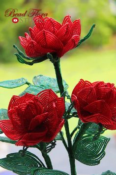 two red flowers sitting on top of a glass vase filled with green leaves and stems