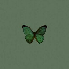 a green butterfly flying through the air