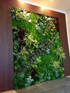 a living wall with plants growing on it