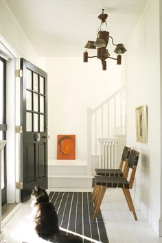 a cat sitting on the floor in front of a door and some chairs with lights hanging from them