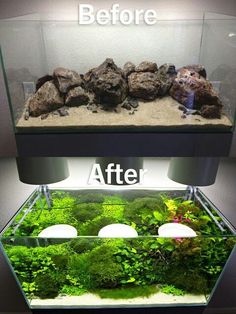 an aquarium filled with plants and rocks before and after it is cleaned up in the water