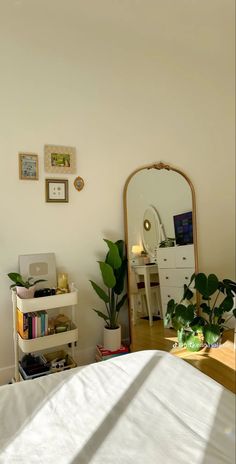 a bedroom with a bed, mirror and plant in it's corner on the wall