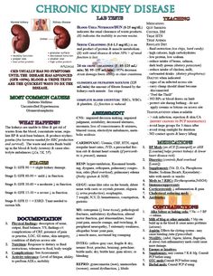 A Nursing Cheat Sheet to Assist in the Txmt of a Patient with CKD https://www.facebook.com/Encouragement4Nurses?ref=tn_tnmn Nursing Cheat Sheet, Nursing Information, Nursing Cheat, Nursing Assessment, Nursing Mnemonics, Chronic Kidney, Nursing School Studying, Nursing School Tips, Nursing School Notes