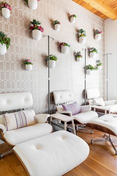 an empty waiting room with white chairs and potted plants on the wall above them