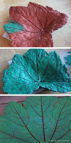 four different leaf shapes are shown in three separate pictures, one is green and the other is red