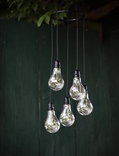 five light bulbs hanging from a black wire