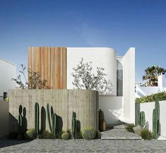 an exterior view of a modern home with cactus and succulents