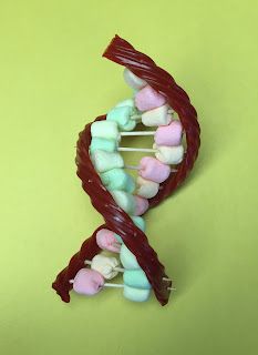 a close up of a model of a double - stranded cell phone with marshmallows on it