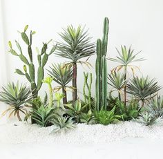 there are many different types of plants in the planter on the table, including cacti and succulents