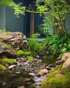 a small stream running through a lush green forest next to a tall building with windows