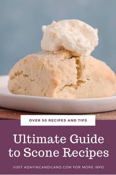 the ultimate guide to scone recipes over 30 recipe and tips on how to make it