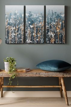 three paintings hang on the wall above a wooden bench with a plant in front of it