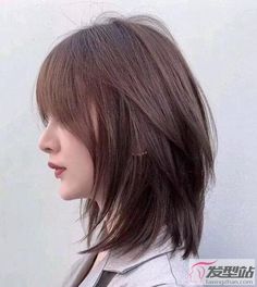 Asian Short Hair, Shot Hair Styles, Haircuts For Medium Hair, Haircuts Straight Hair, Hair Stylist Life, Short Haircut