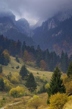 the mountains are covered with trees and grass, while clouds hover over them in the distance