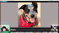 Photo Editing RAW Edit 56 Dog Photo YouTube