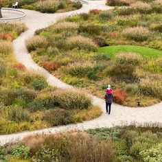 a person walking down a path in the middle of a field