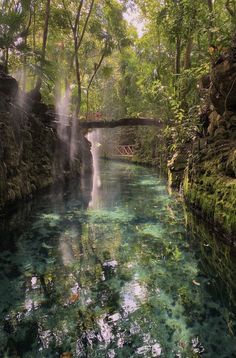 a river running through a lush green forest next to a stone bridge with waterfall coming out of it