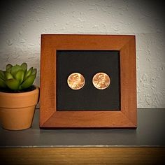 two gold coins in a wooden frame next to a succulent potted plant