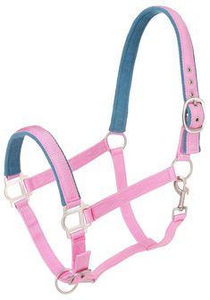 a pink bridle with blue straps