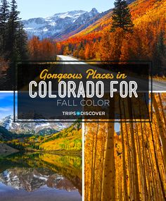 the colorado mountains and trees with text that reads, gorgeous places in colorado for fall color