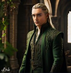 Elven King, Male Elf, Fantasy Clothes, Male Characters, Lee Pace, Fantasy Clothing, Middle Earth