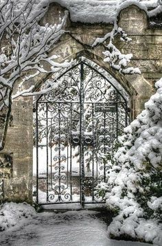 an iron gate with snow on it in front of a stone wall and tree branches