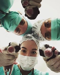 four people in scrubs and masks holding up small puppies with their hands together