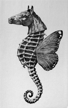 a drawing of a sea horse with a butterfly on it's back legs and wings