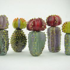 six different colored cactus plants are lined up