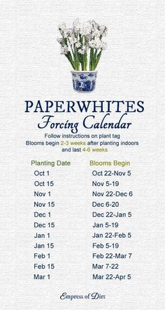 the paper white's foraging calendar is displayed on an iphone screen, with text below it