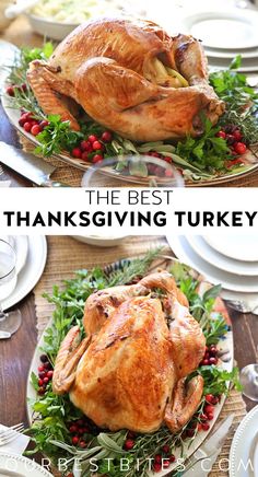 the best thanksgiving turkey recipe ever